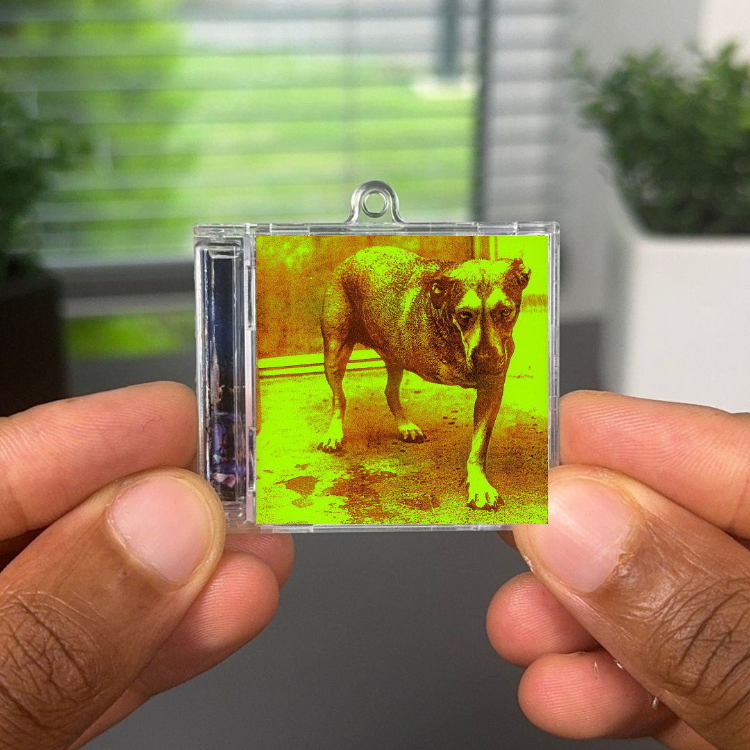 Alice In Chains Albumtag