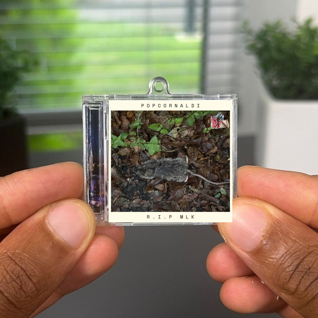 Rip Mlk Albumtag