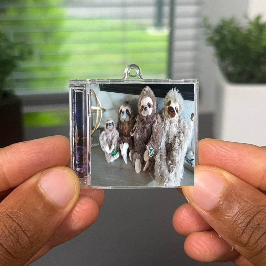 The Sloth Song Albumtag