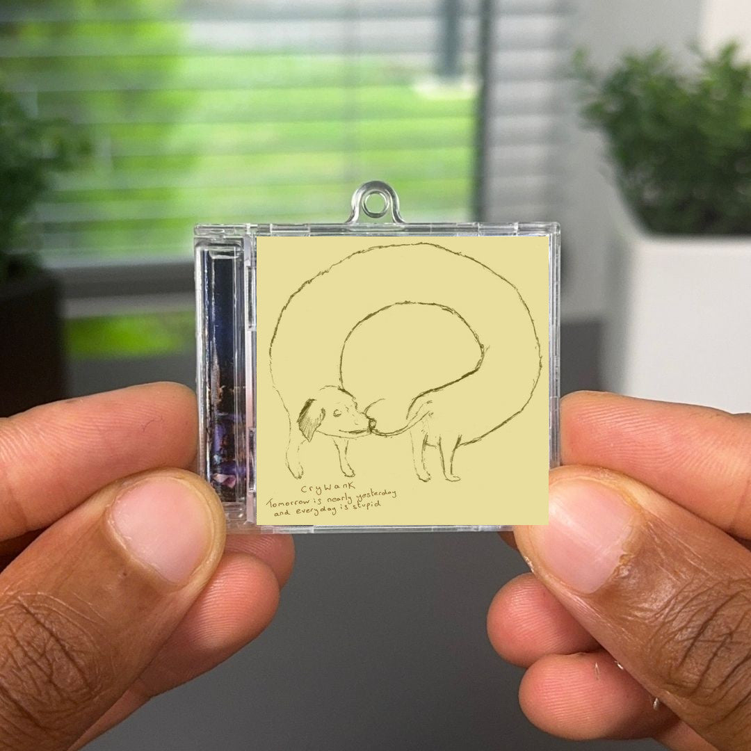 Tomorrow Is Nearly Yesterday and Everyday Is Stupid llavero NFC