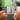 Lazza Album Tags