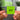 365 Albumtag