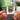 40oz. To Freedom llavero NFC