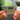 Abba Gold Anniversary Edition llavero NFC