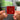 Access All Areas llavero NFC