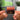 Blood Harmony llavero NFC