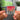 Broken Social Scene llavero NFC