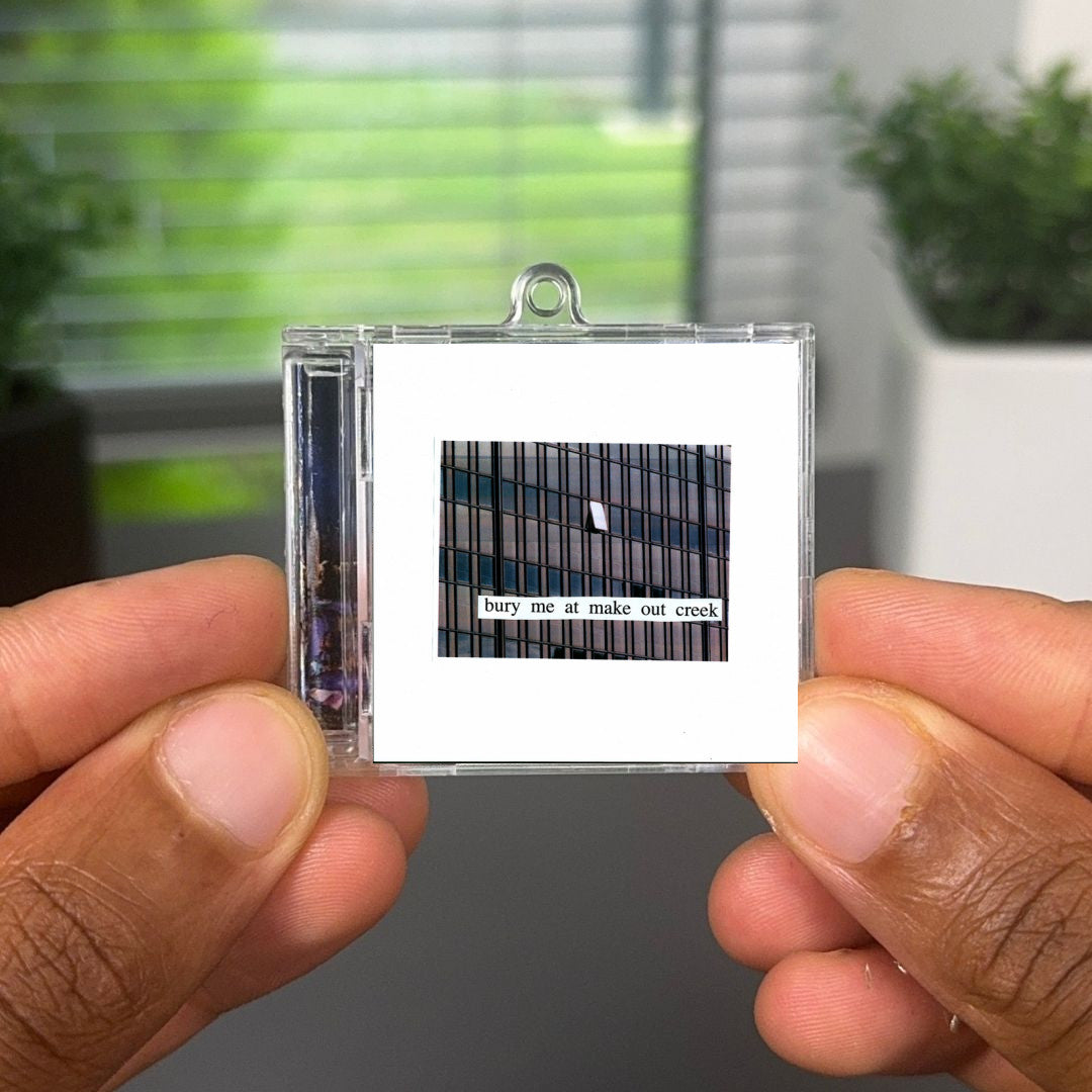 Bury Me At Makeout Creek Albumtag