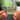 Butterfly 3000 llavero NFC
