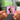 CULT Albumtag