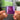 Consentia Albumtag