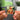 Dig Out Your Soul Albumtag