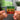 Don"t Worry Be Happy Albumtag
