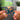 Either/Or Albumtag