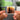 Escapology llavero NFC