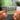 Evergreen NFC Keychain
