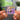 Execute llavero NFC