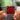 Forse in un"altra vita llavero NFC