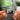 Heathen Chemistry Albumtag