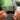 Itheles Na Mplekseis llavero NFC