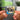 KURDA Albumtag