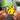 Kompilation llavero NFC