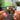 Late Orchestration NFC Keychain