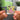 Loveworm llavero NFC