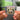 MICRODOSIS llavero NFC