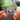 Mediocre Albumtag