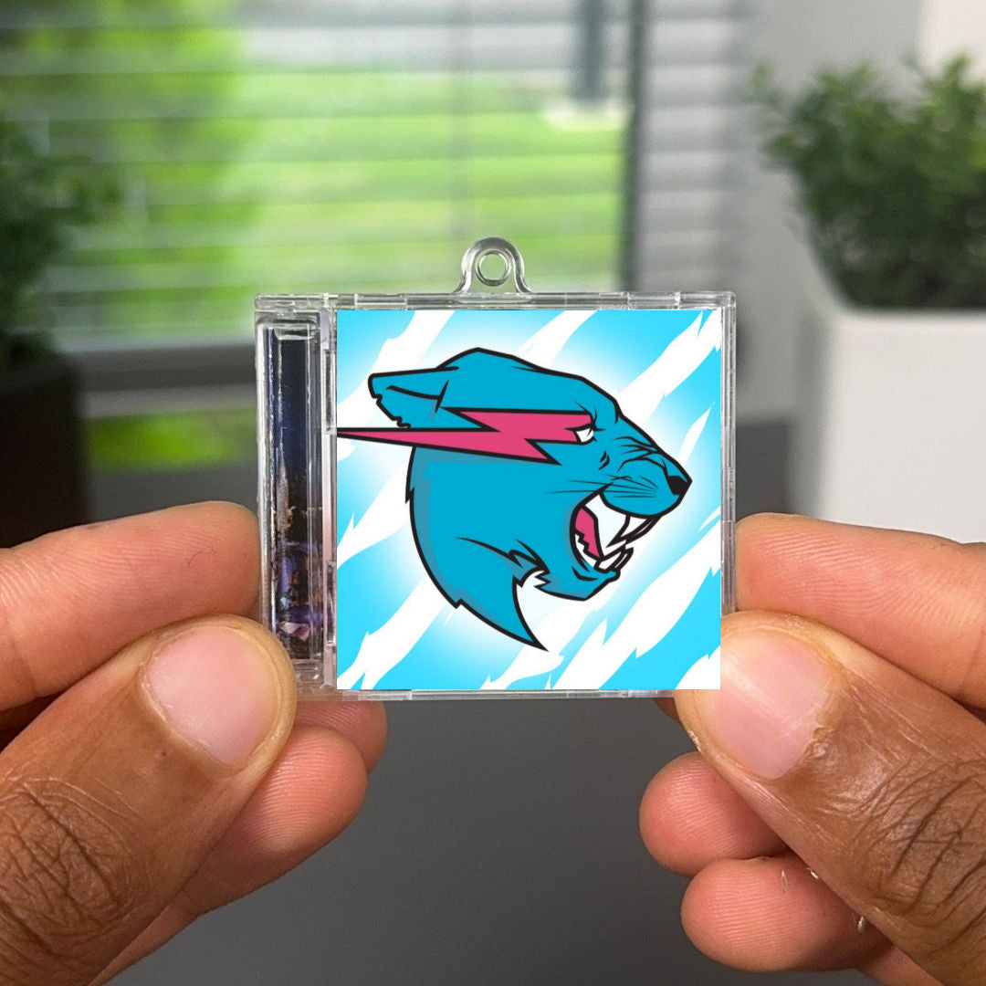 Mr. Beast Song Albumtag