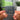 Not Waving, But Drowning Albumtag