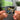 PALANTE Albumtag