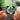 PUMP UP THE BASS Albumtag