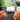 Raintown Albumtag