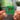 Sauce Boyz 2 Albumtag