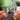 Serio Albumtag