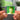 Starz Albumtag