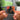 Stoney (Complete Edition) Albumtag