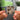 THE FIRST TIME Albumtag