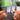 TRUSTFALL llavero NFC