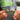 TUTTA VITA Albumtag