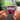 Ten Albumtag