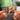 The Colour Of My Love Albumtag