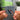 The Melodic Blue Albumtag