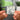 …And Justice for All (Remastered) NFC Keychain