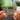 Abba Gold Anniversary Edition Albumtag