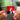 about u Albumtag