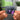 Diemonds Albumtag