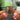 I No Longer Fear the Razor Guarding My Heel Albumtag
